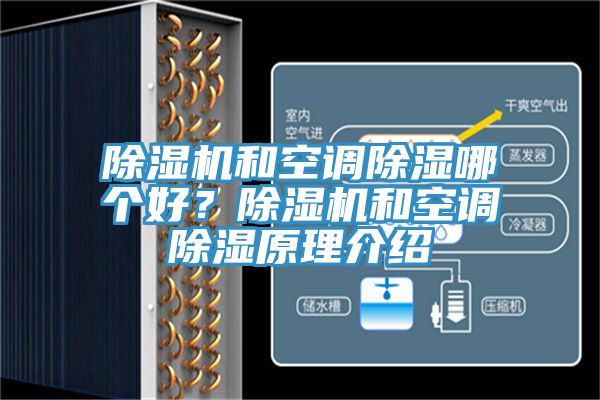 91看片软件大全和空調除濕哪個好？91看片软件大全和空調除濕原理介紹