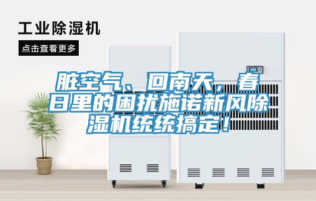 髒空氣、回南天，春日裏的困擾施諾新風91看片软件大全統統搞定！