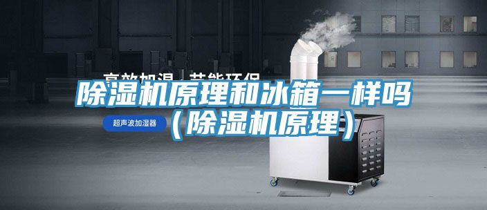 91看片软件大全原理和冰箱一樣嗎（91看片软件大全原理）