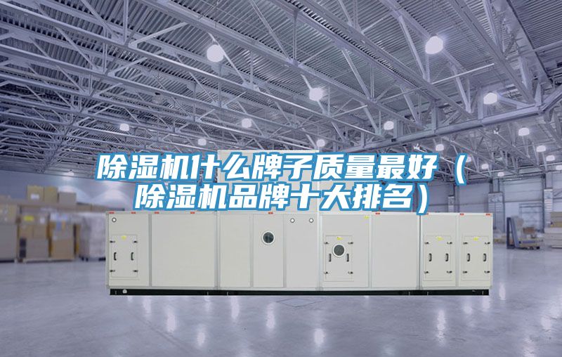 91看片软件大全什麽牌子質量最好（91看片软件大全品牌十大排名）