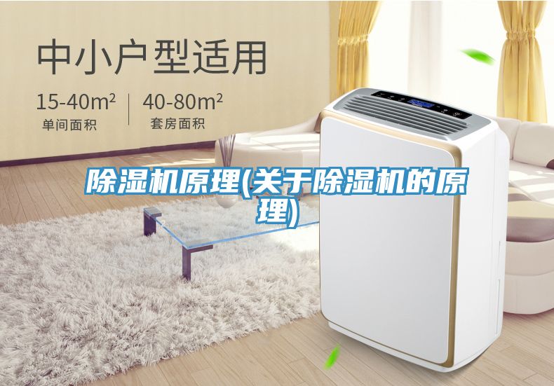 91看片软件大全原理(關於91看片软件大全的原理)