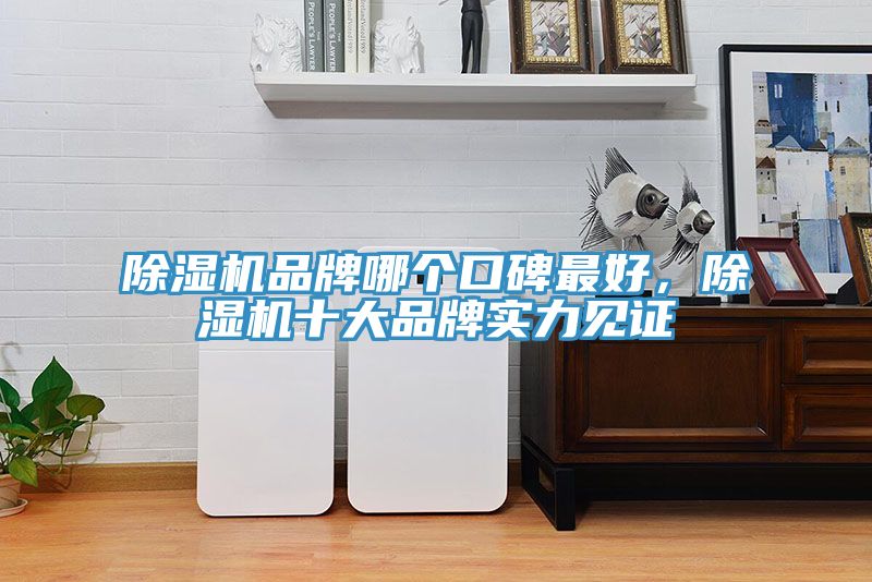 91看片软件大全品牌哪個口碑最好，91看片软件大全十大品牌實力見證