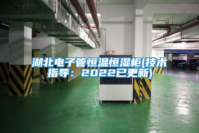 湖北電子管恒溫恒濕櫃(技術指導：2022已更新)