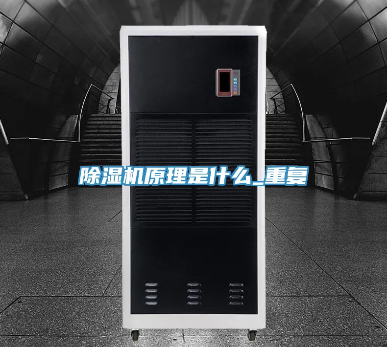 91看片软件大全原理是什麽_重複