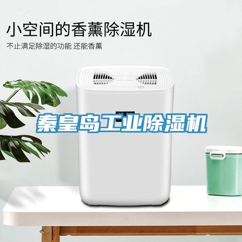 秦皇島工業91看片软件大全