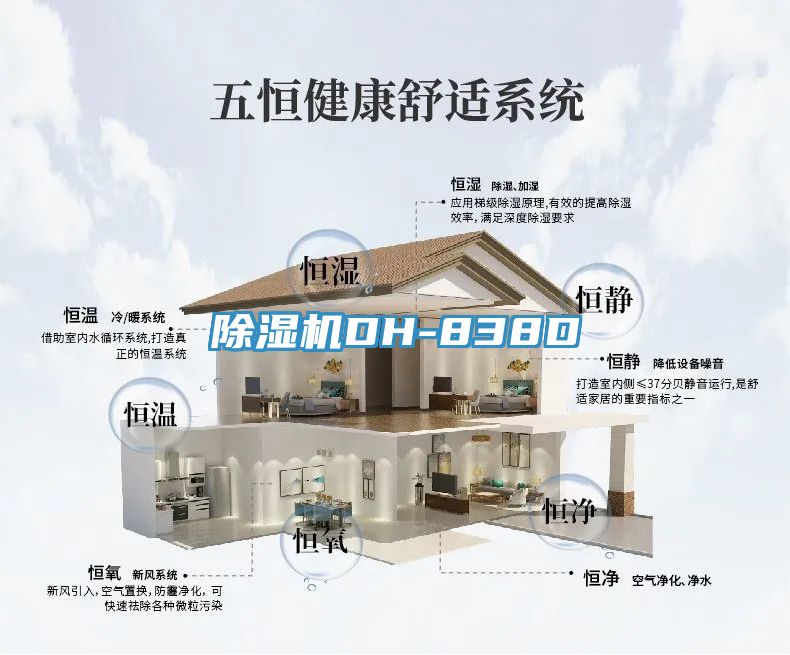 91看片软件大全DH-838D