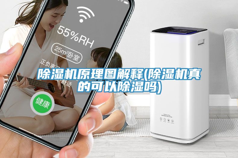 91看片软件大全原理圖解釋(91看片软件大全真的可以除濕嗎)