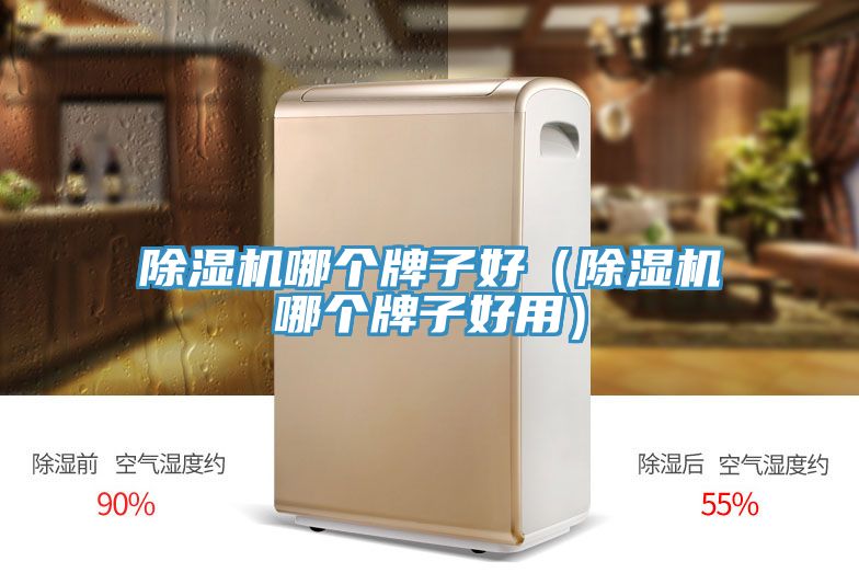 91看片软件大全哪個牌子好（91看片软件大全哪個牌子好用）
