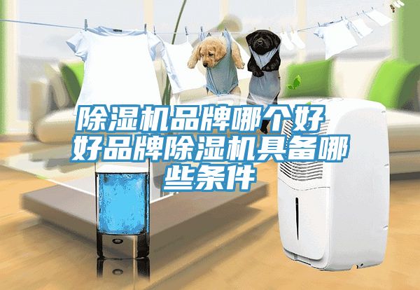 91看片软件大全品牌哪個好 好品牌91看片软件大全具備哪些條件