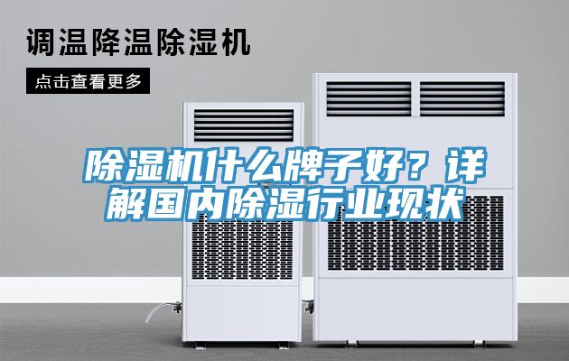 91看片软件大全什麽牌子好？詳解國內除濕行業現狀