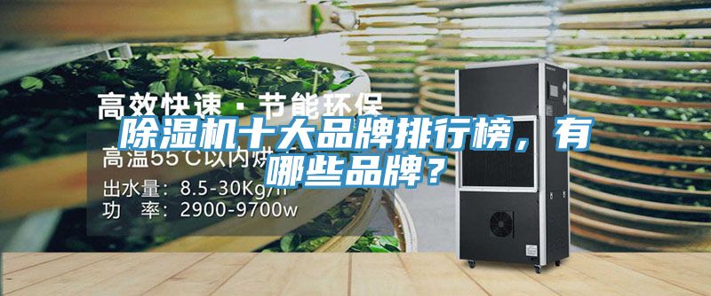 91看片软件大全十大品牌排行榜，有哪些品牌？