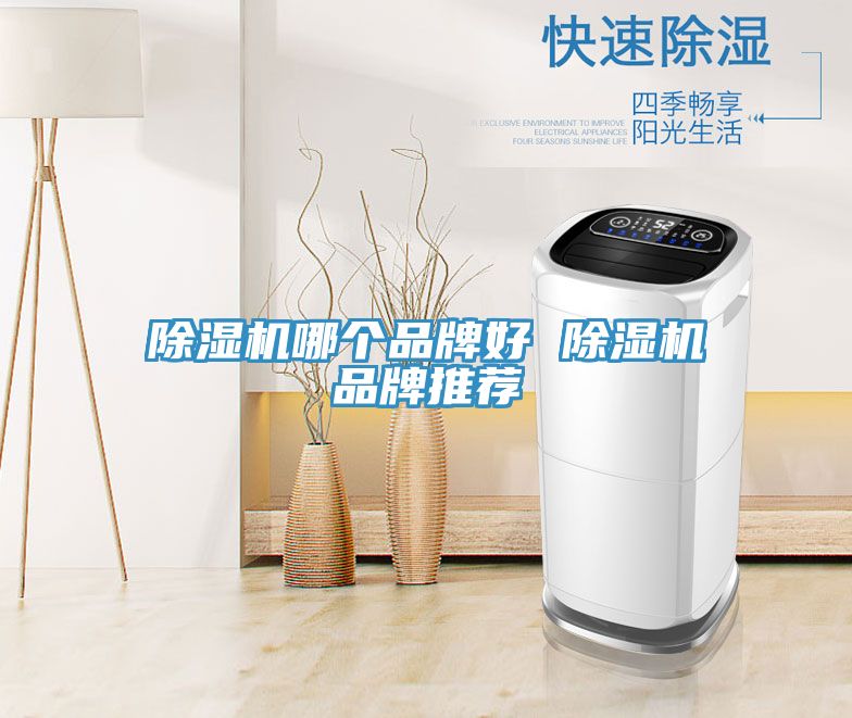 91看片软件大全哪個品牌好 91看片软件大全品牌推薦