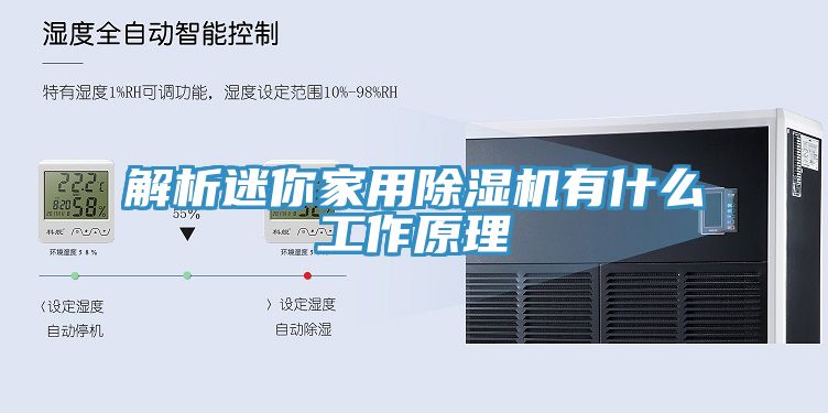 解析迷你家用91看片软件大全有什麽工作原理