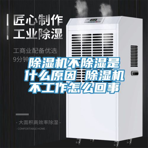 91看片软件大全不除濕是什麽原因 91看片软件大全不工作怎麽回事