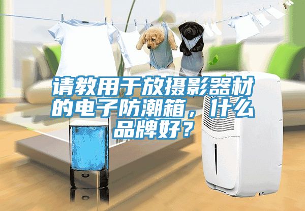 請教用於放攝影器材的電子防潮箱，什麽品牌好？