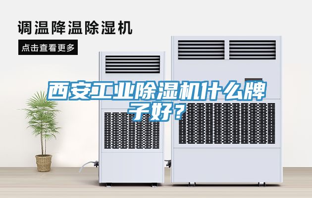 西安工業91看片软件大全什麽牌子好？