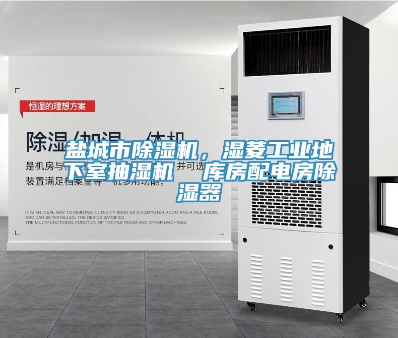 鹽城市91看片软件大全，濕菱工業地下室抽濕機  庫房配電房除濕器