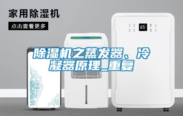 91看片软件大全之蒸發器、冷凝器原理_重複