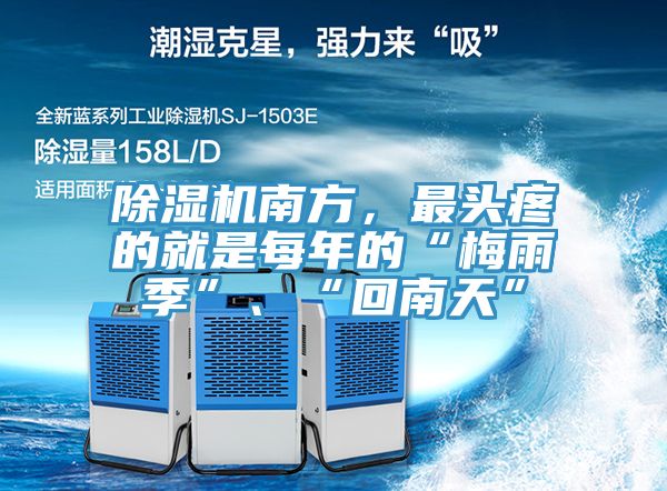 91看片软件大全南方，最頭疼的就是每年的“梅雨季”、“回南天”