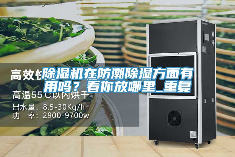 91看片软件大全在防潮除濕方麵有用嗎？看你放哪裏_重複