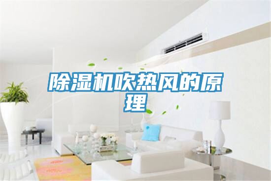 91看片软件大全吹熱風的原理