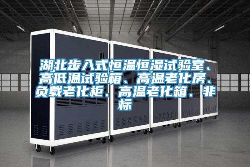 湖北步入式恒溫恒濕試驗室、高低溫試驗箱、高溫老化房、負載老化櫃、高溫老化箱、非標