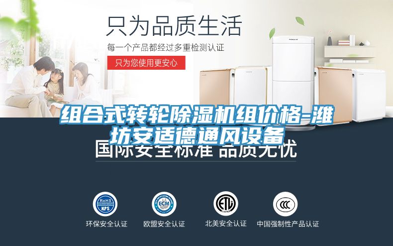 組合式轉輪91看片软件大全組價格-濰坊安適德通風設備