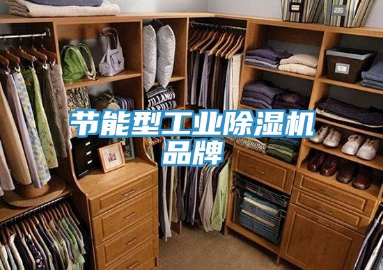 節能型工業91看片软件大全品牌