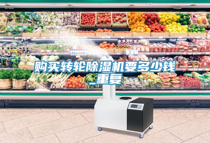 購買轉輪91看片软件大全要多少錢_重複