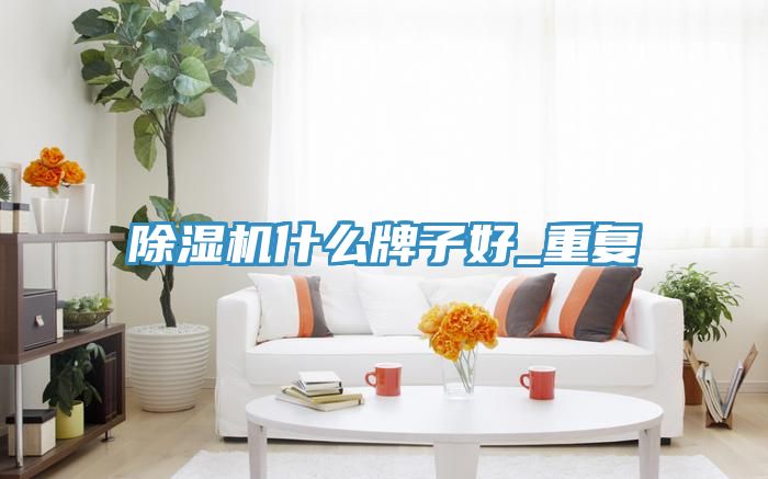 91看片软件大全什麽牌子好_重複