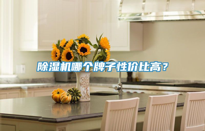 91看片软件大全哪個牌子性價比高？