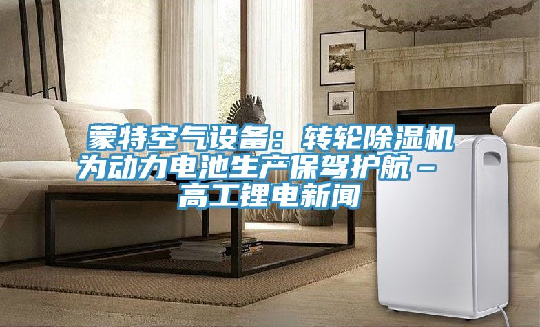 蒙特空氣設備：轉輪91看片软件大全為動力電池生產保駕護航– 高工鋰電新聞
