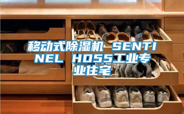 移動式91看片软件大全 SENTINEL HD55工業專業住宅