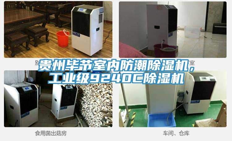 貴州畢節室內防潮91看片软件大全，工業級9240C91看片软件大全