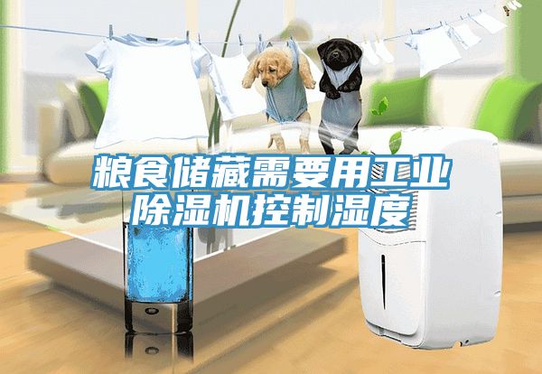 糧食儲藏需要用工業91看片软件大全控製濕度