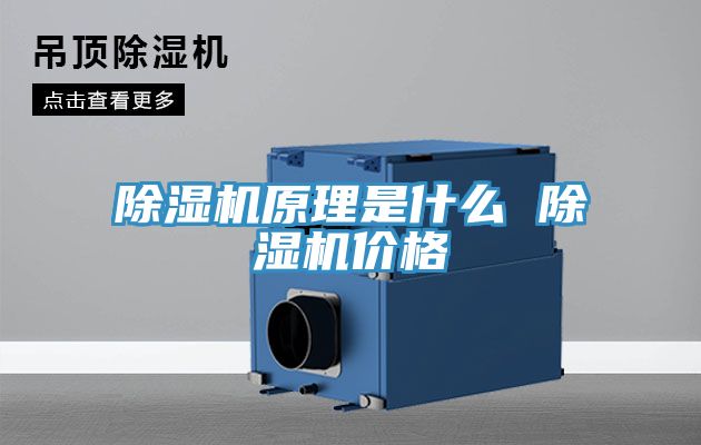 91看片软件大全原理是什麽 91看片软件大全價格