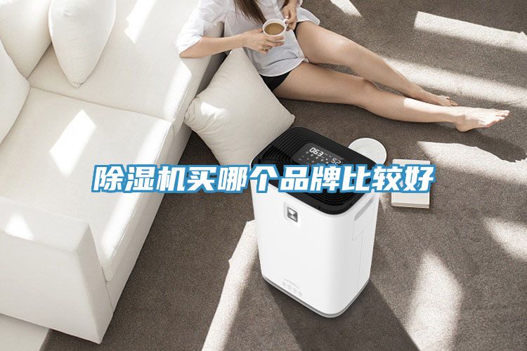 91看片软件大全買哪個品牌比較好