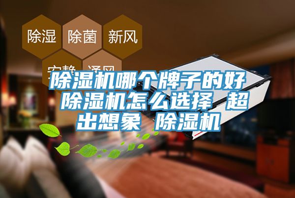 91看片软件大全哪個牌子的好 91看片软件大全怎麽選擇 超出想象 91看片软件大全