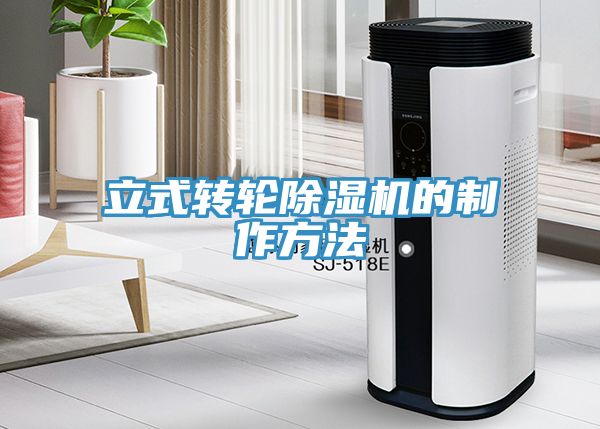 立式轉輪91看片软件大全的製作方法