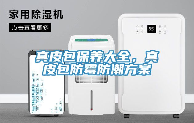 真皮包保養大全，真皮包防黴防潮方案