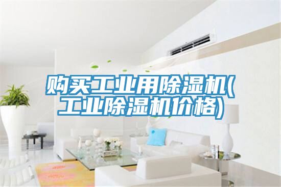 購買工業用91看片软件大全(工業91看片软件大全價格)