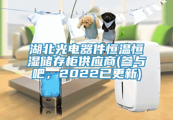 湖北光電器件恒溫恒濕儲存櫃供應商(參與吧，2022已更新)