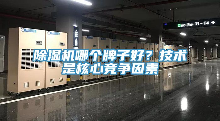91看片软件大全哪個牌子好？技術是核心競爭因素