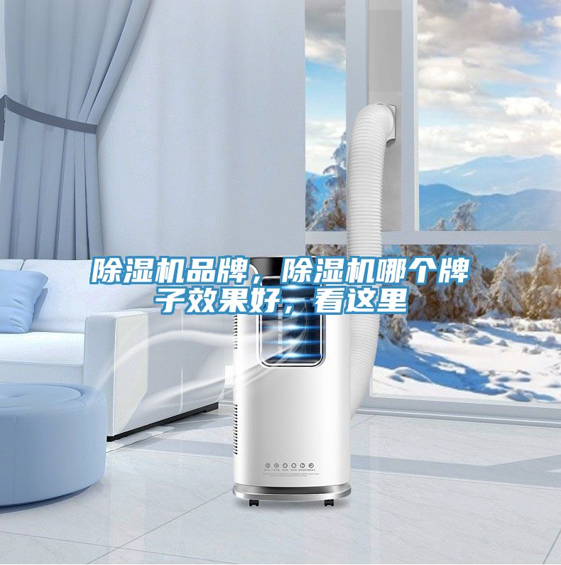 91看片软件大全品牌，91看片软件大全哪個牌子效果好，看這裏