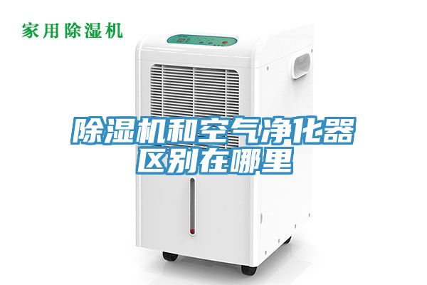 91看片软件大全和空氣淨化器區別在哪裏