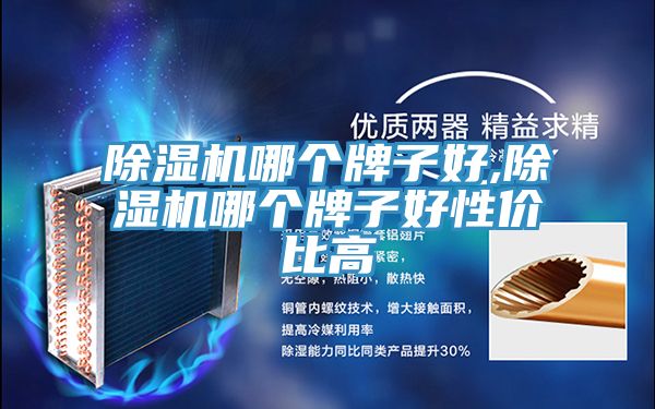 91看片软件大全哪個牌子好,91看片软件大全哪個牌子好性價比高