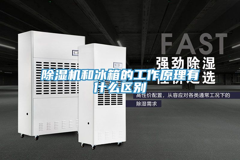 91看片软件大全和冰箱的工作原理有什麽區別