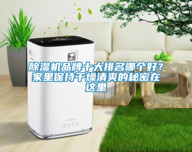 91看片软件大全品牌十大排名哪個好？家裏保持幹燥清爽的秘密在這裏