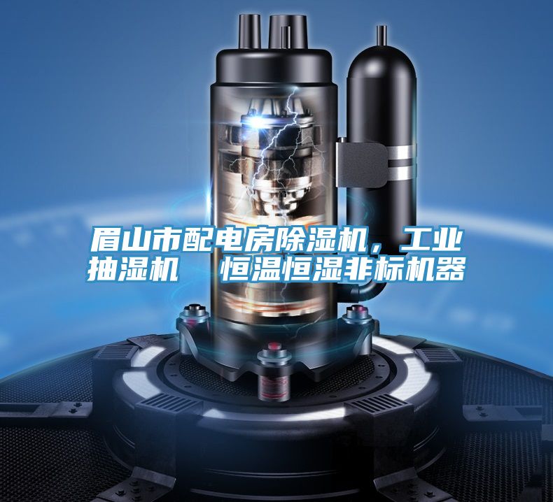 眉山市配電房91看片软件大全，工業抽濕機  恒溫恒濕非標機器