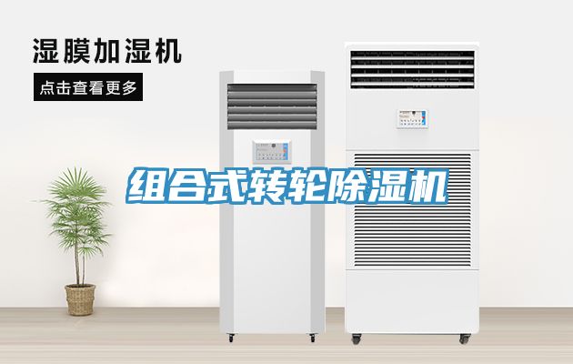 組合式轉輪91看片软件大全